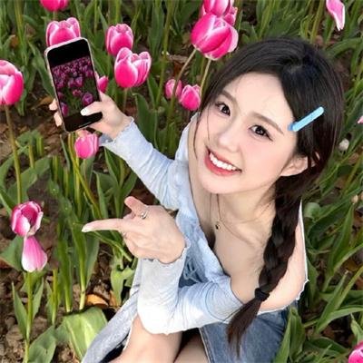 钢铁玫瑰